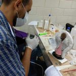 CURSO-DE-FABRICACION-DE-MOLDES-EN-SILICONA14.jpg